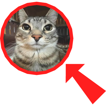 Cat Meme - Zazu