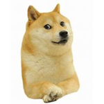 Jade's Doges