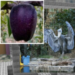 ok lets just say its a roblox game