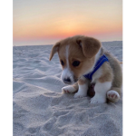 little happy