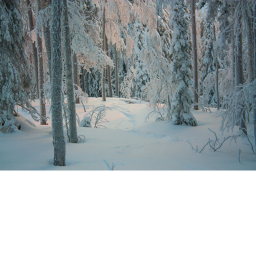 Dawn Of Winter discontinued icon