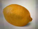 THE CONSTITUTION OF THE LEMONS