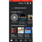 Teddy RBLX GAMING