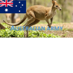 The Australian Army -AA-