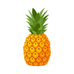 Pineàpple family