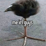 Vibin gamers