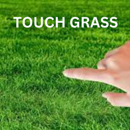 touch grass