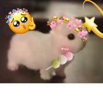 Gö k çe & As mi n >w<