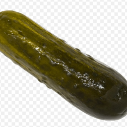 pickle🥒 (UPDATE)(PART TWO)
