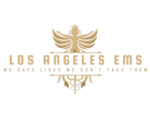 Los Angeles EMS (LARP)