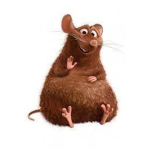 FAT RAT!!!!!!