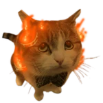Burning Wawa
