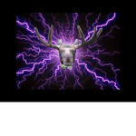 King ###########