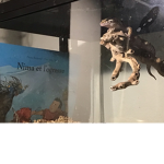 The Leopard gecko squad is cool