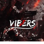 The Vibe Organization