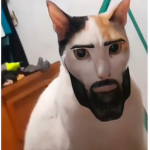 Vc é gy?