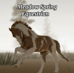 MSE pony club