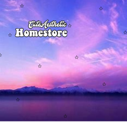 Aesthetic Homestore (clothing under 5)