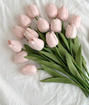 Flower club fans