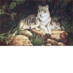 TheWolfs