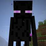 EnderMan Server