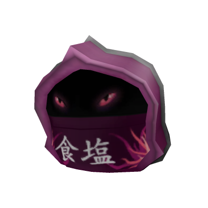 Masked Hood of the Midnight Ninja Apprentice 