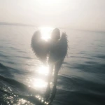nuiest Group Thumbnail