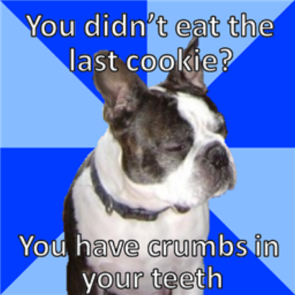 Skeptical dog meme Roblox decal