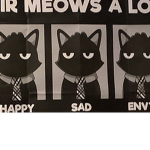 Yeet cat