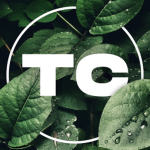 Tsulo Clothing