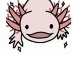 {*-Axolotl Friends-*}