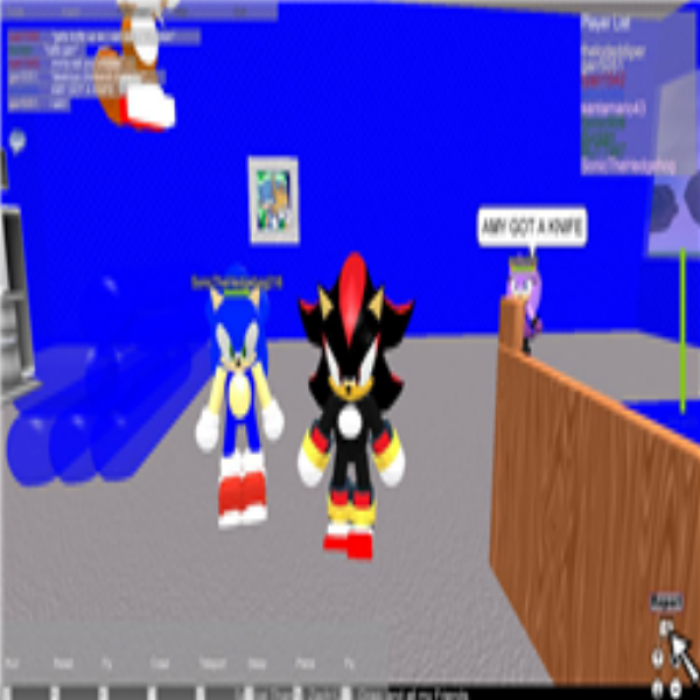 shadow and sonic Roblox decal