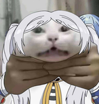 SAKUII