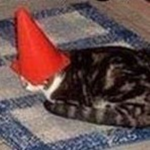 cats n cones
