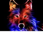 Black wolf fan group