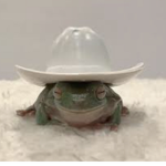 frögg
