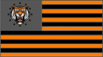 tigers life group