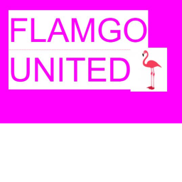 Flamgo Hangout