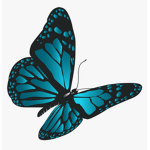 Rowrow's Butterfly Closet