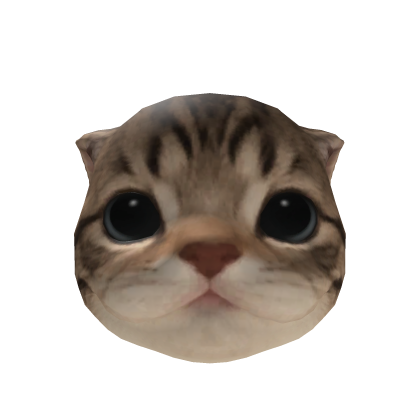Little Kitten Head