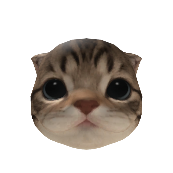 Little Kitten Head