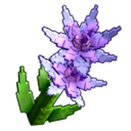 Purple Dahlia produce image