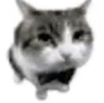 Wacky Autism