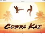 Cobra Kai gamer World