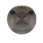Iwastaken