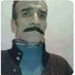 zengin bakonlar