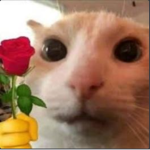 XxMartinxX test