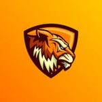 Tigers Groups Team