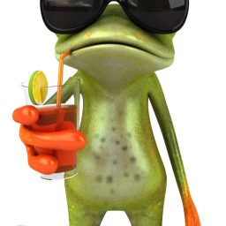 cool obby