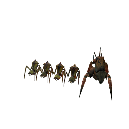 Antlion Collection